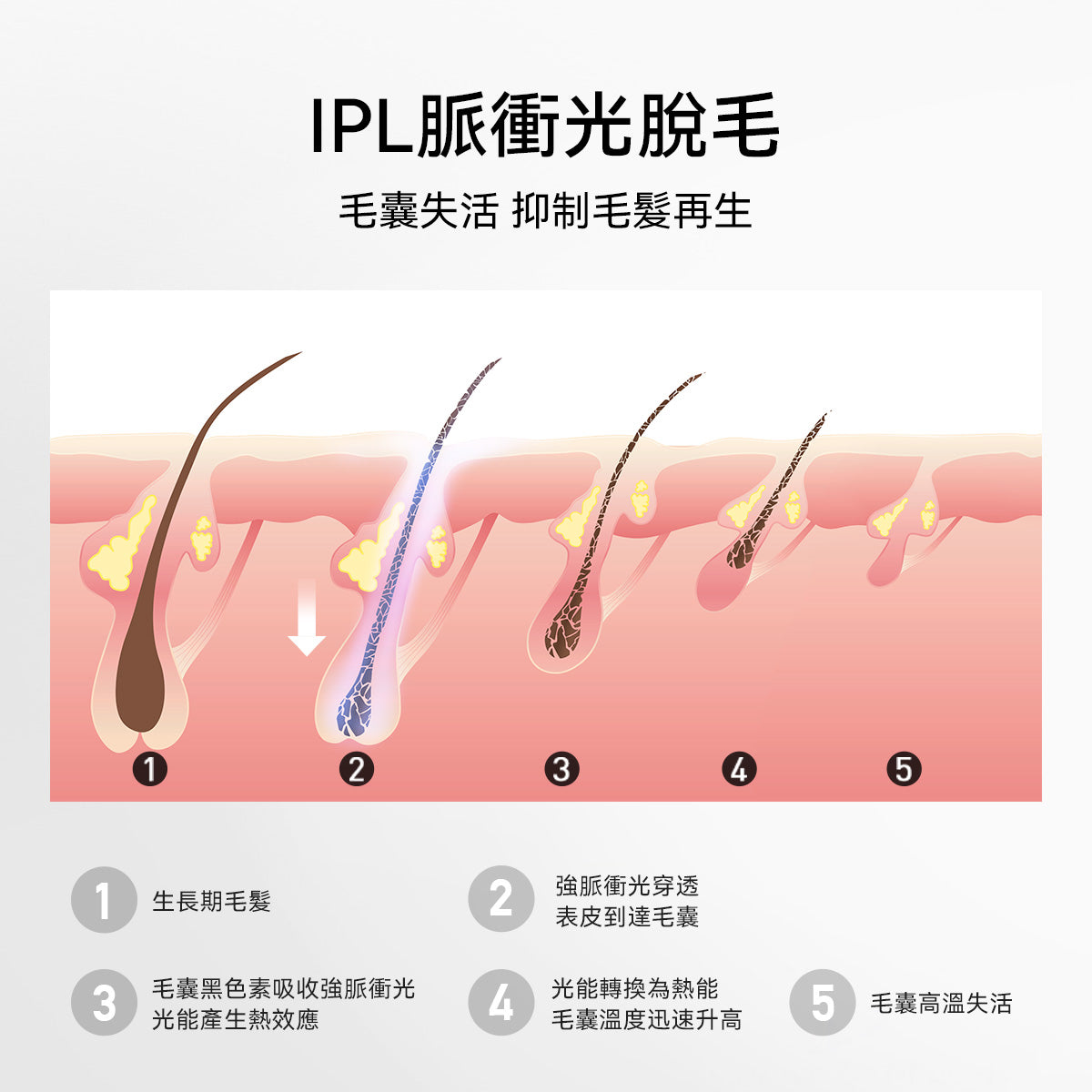 藍寶石 Air+ 冰墨綠 除毛儀 獨家團購